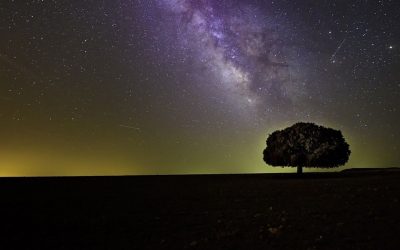 Practica la Observación